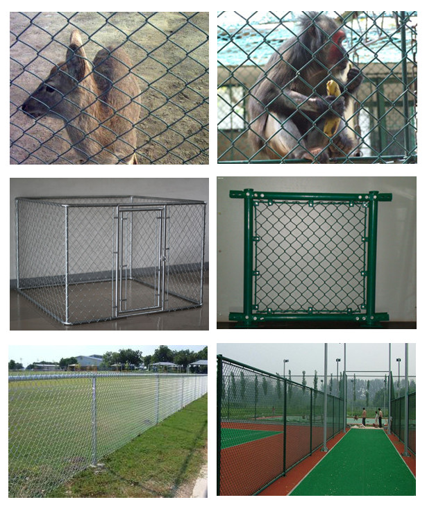 Heavy Duty 50ft L/Roll Anti Climb Chain Link Fence With 100x100mm Mesh