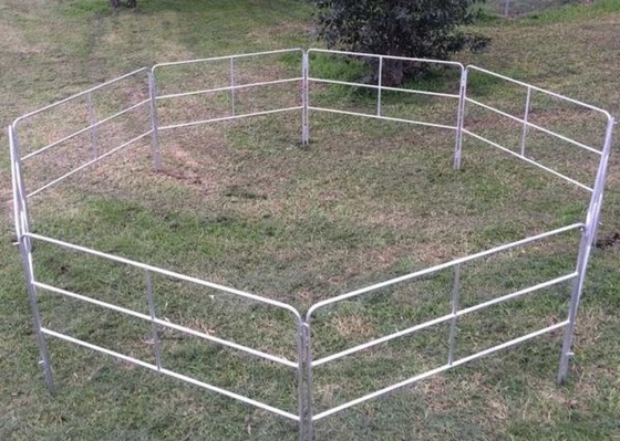 3 Rails Hot Dip Galvanized Horse Holding Yard Panel 2000 X 1350mm