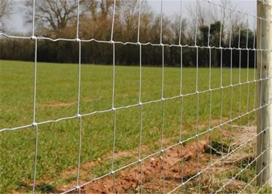 Hot Dipped Galvanized Fixed Knot Field Fence Hinge Joint Fencing 150m rustproof