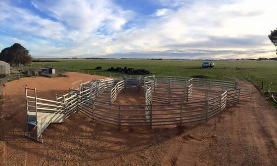 Oval Bar 6ft High Heavy Duty Galvanized Corral Panels For Cattle Feeding
