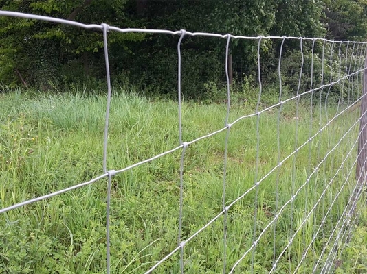 Livestock Hot Dipped Galvanised Farm Deer Fencing 80cm High