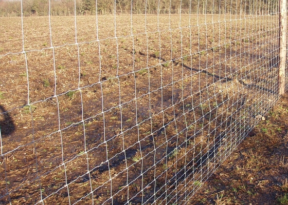 Livestock 2.0mm Wire Cattle Fencing Hot Low Carbon Steel Q195
