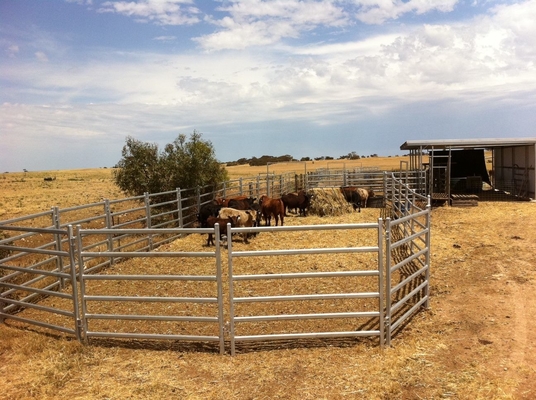 Galvanized Steel Farm 1.8x3.37m Livestock Fencing Panels And Gates