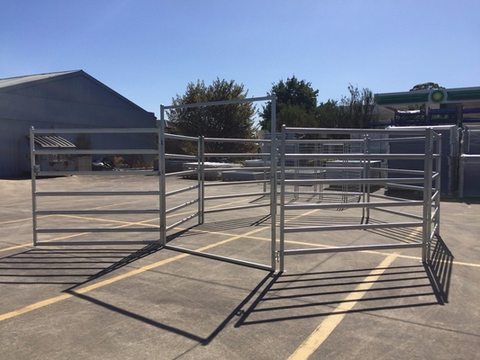 Wrought Iron Galvanized 50x50mm Tube Heavy Duty Cattle Panel