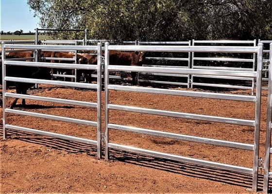 Hdg Tube Australia 1.8m High Heavy Duty Cattle Panel With 6 Bars