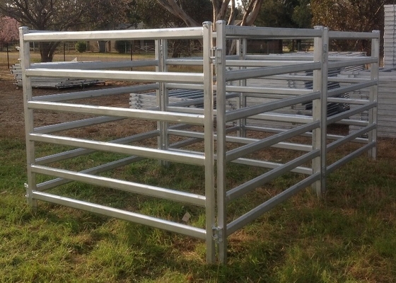Galvanized Pipe Fence 1.8x2.1m Welded Wire Horse Panels
