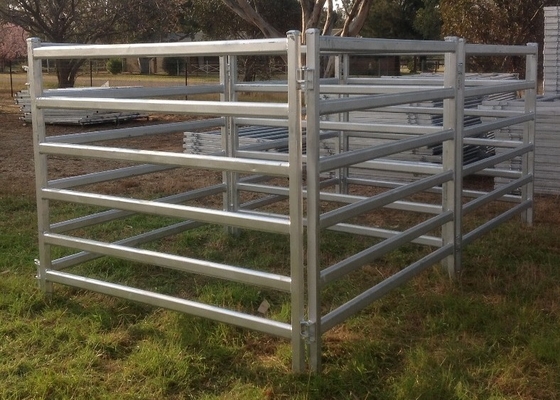 30-40 Head 50x50 High Visibility Livestock Cattle Yard Panels