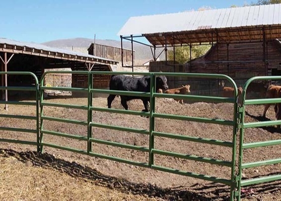 5ft High By 12ft Long Portable Horse Corral Panels Galvanized And Powder Coated