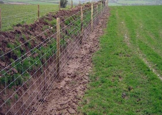 Electric Galvanized Iron Wire Cattle Mesh Fencing For Livestock