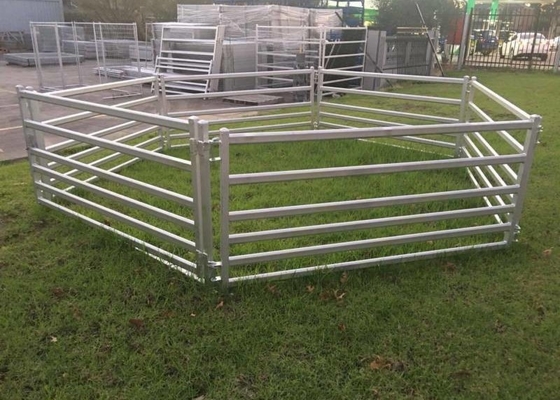 Galvanised Steel Sheep Odm Heavy Duty Cattle Panel 30mm X 60mm Rail 1.1m X 2.1m 6 Rail