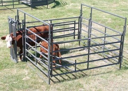 Long Lasting Powder Coating Heavy Duty Cattle Panel 1.8m X 2.1m