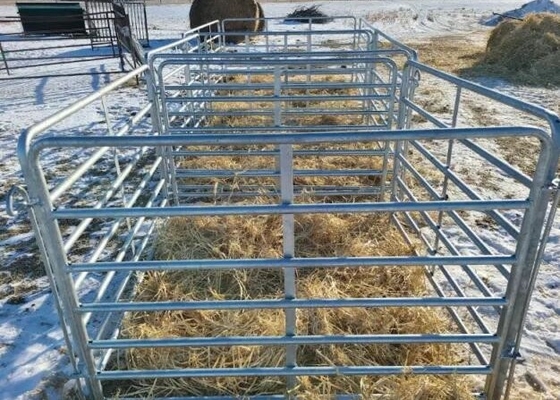 Portable Cattle 1.6m×2.1m Heavy Duty Livestock Panels Easily Assembled
