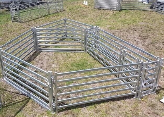 200 Head Sheep Yard Panels Pre Hot Dip Galvanized Strong Permanent