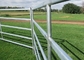 Steel Square Tube Heavy Duty Cattle Panel American Style