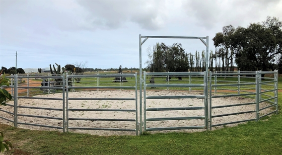 20Panel+1Gate Heavy Duty Galvanized Livestock Yard Fence Horse Round Yard panel