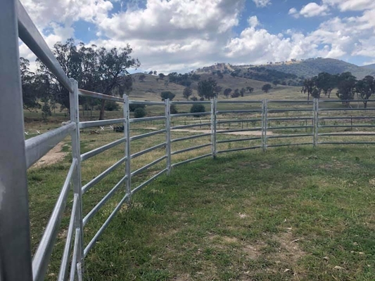 20Panel+1Gate Heavy Duty Galvanized Livestock Yard Fence Horse Round Yard panel