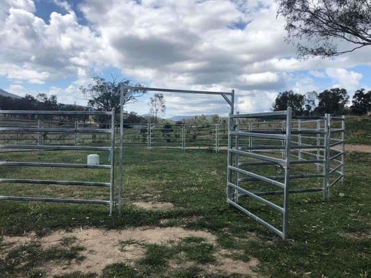 20Panel+1Gate Heavy Duty Galvanized Livestock Yard Fence Horse Round Yard panel