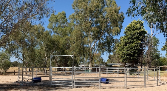 20Panel+1Gate Heavy Duty Galvanized Livestock Yard Fence Horse Round Yard panel