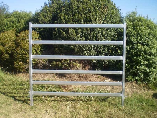 Heavy Duty Galvanized Stainless 1.8mx2.1m Cattle Yard Panel for Ranch