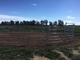 Q235 Steel Cattle Yard Panels , 1.6x2.1m Portable Horse Stall Panels