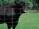 ISO-2001 1.2m Height Wire Cattle Fencing With High Tensile
