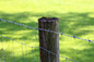 Iron 50m Long Woven Wire Cattle Fencing No Rust for farm