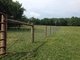 1.5m Height Wire Cattle Fencing Galvanized Heavy Duty