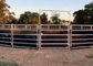 Round Pipe Steel Cattle Fence Panels , 6ftx7ft Galvanized Corral Panels