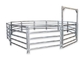 Silver Steel 6 Rail 5x7ft Heavy Duty Cattle Panel Rust Resistant