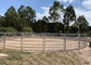 Galvanized Pipe Fence 1.8x2.1m Heavy Duty Horse Panels Welded Wire