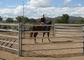 Steel 10ft Tall Horse Round Yard Panels With Powder Coated