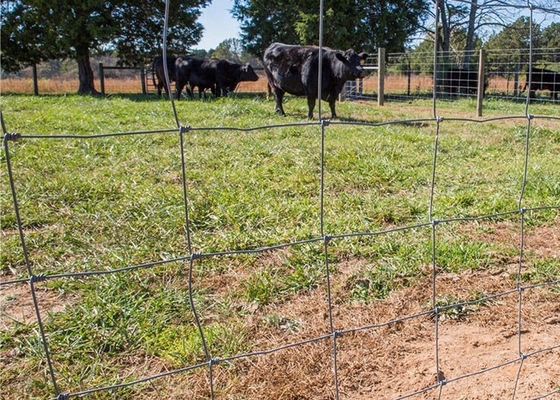 ISO-2001 50-100m High Tensile Sheep And Goat Fence For Australia Market