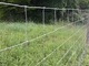 1.5m Height Farm Galvanized Design Cattle Mesh Fencing
