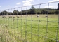 Galvanized Fixed Knot 1.5mm Mesh Farm Fence For Deer Cattle Horse