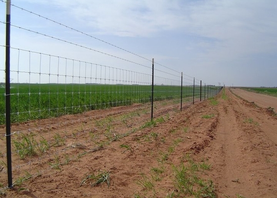 Galvanized Iron 2.5mm horse Mesh Fencing Grassland Fencing corrosion proof