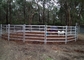 6 Square Rails 1.8m X 2.09m Heavy Duty Cattle Panel With Locking Pins
