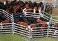 Assembled Galvanized 1.8x3.37m Heavy Duty Cattle Yard Gates