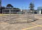 Galvanized Welded 1.8m Height Yard Fence Panel For Livestock Horse Farm Fencing