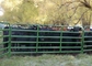 1.66" Od 16 Gauge Tubing 10ft Livestock Fence Panels With 14 Gauge Vertical Stays