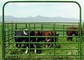Livestock Farm Powder Coat Paint 6 Bars 5ft Heavy Duty Cattle Panel