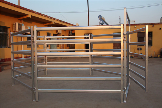 Heavy Duty Galvanized Stainless 1.8mx2.1m Cattle Yard Panel for Ranch