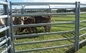 Livestock Farm Rodent Proof Heavy Duty Cattle Panel 42mm Tube