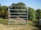 40x80mm Oval Tube Livestock Galvanized Horse Panels