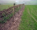 Galvanized Iron 2.5mm horse Mesh Fencing Grassland Fencing corrosion proof