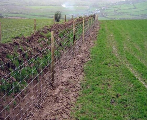 Galvanized Iron 2.5mm horse Mesh Fencing Grassland Fencing corrosion proof