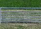 60 X 30 X 1.6mm Gal Oval Rail Heavy Cattle Panels Hot Dip Galvanized Steel To Sheep Yards