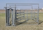 Long Lasting Powder Coating Heavy Duty Cattle Panel 1.8m X 2.1m