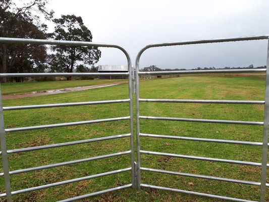 2.9mx1.25m Heavy Duty Steel Economy Pastoral Portable Sheep Yard Panels Goat Panel