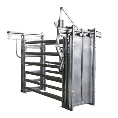 Hot Dip Galvanized Economic Cattle Crush