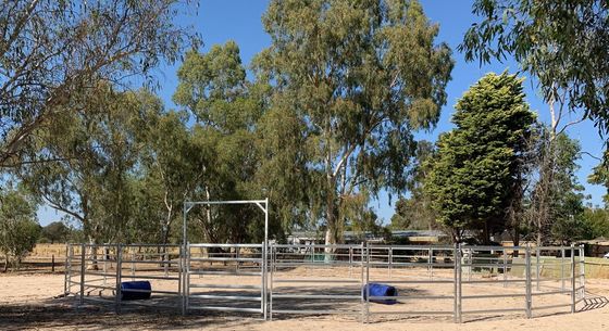 Factory Price 19M Horse Round Yard Livestock Panel Horse Stable Panels Round Pens